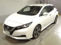 2020 Nissan Leaf