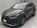 2020 Lexus NX