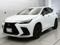 2021 Lexus NX