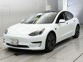 2022 Others MODEL 3