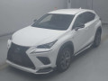 2021 Lexus NX