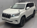 2021 Toyota Land Cruiser Prado
