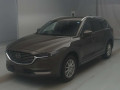 2019 Mazda CX-8