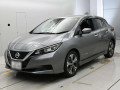 2019 Nissan Leaf