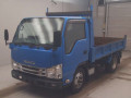2017 Isuzu Elf Truck