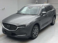 2019 Mazda CX-8
