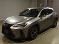 2021 Lexus UX