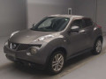2011 Nissan JUKE