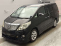 2008 Toyota Alphard