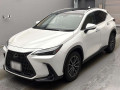 2024 Lexus NX