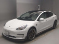 2021 Others MODEL 3