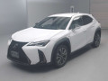 2021 Lexus UX