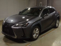 2021 Lexus UX