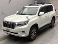 2019 Toyota Land Cruiser Prado