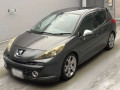 2009 Peugeot 207