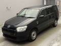 2019 Toyota Probox