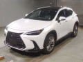 2022 Lexus NX