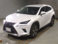 2020 Lexus NX