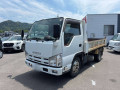 2013 Isuzu Elf Truck