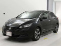 2021 Nissan Leaf