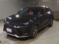 2019 Lexus NX