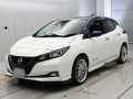 2019 Nissan Leaf