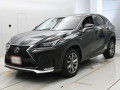 2015 Lexus NX