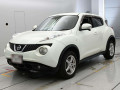 2010 Nissan JUKE