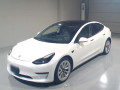 2021 Others MODEL 3