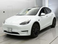 2023 Others MODEL Y