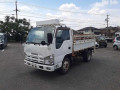 2011 Isuzu Elf Truck