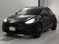 2023 Others MODEL Y
