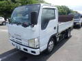 2008 Isuzu Elf Truck