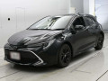 2021 Toyota Corolla Sports
