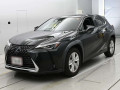 2019 Lexus UX