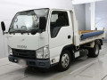2019 Isuzu Elf Truck