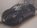 2019 Nissan Leaf