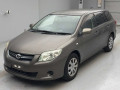 2009 Toyota Corolla Fielder