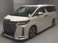 2019 Toyota Alphard