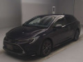 2020 Toyota Corolla Touring Wagon