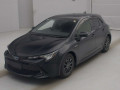 2019 Toyota Corolla Sports