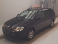 2001 Toyota Corolla Fielder