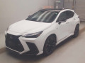 2023 Lexus NX
