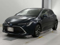 2019 Toyota Corolla Sports