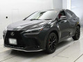 2023 Lexus NX
