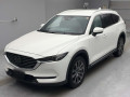 2019 Mazda CX-8
