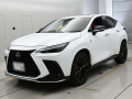 2022 Lexus NX