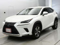2020 Lexus NX