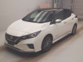 2021 Nissan Leaf