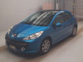 2007 Peugeot 207